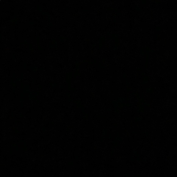 Meet your Posher, Everett - Picture 1 of 1